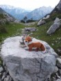 /album/fotogalerij/a2012-08-11-16-17-18-jpg/